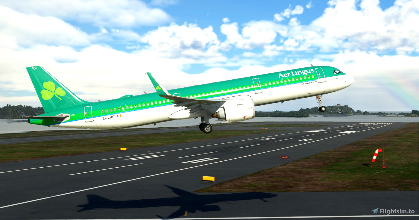 Vine Air Flight Simulator Livery (Plus Download) : r/Vinesauce