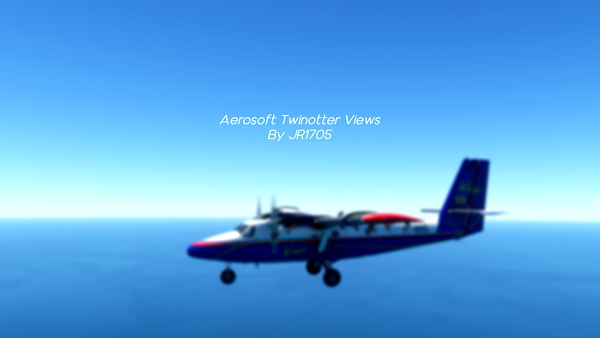 Aerosoft Twinotter Custom Views - for Microsoft Flight Simulator