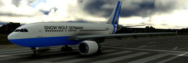 Airbus A310-300 Snow Wolf Germany - for Microsoft Flight Simulator