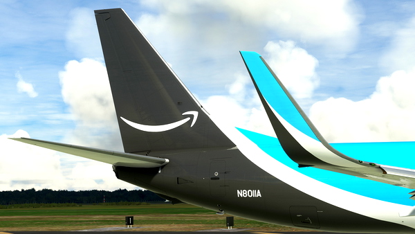 Amazon Prime Air Pack PMDG 737-800BCF MSFS - for Microsoft Flight Simulator