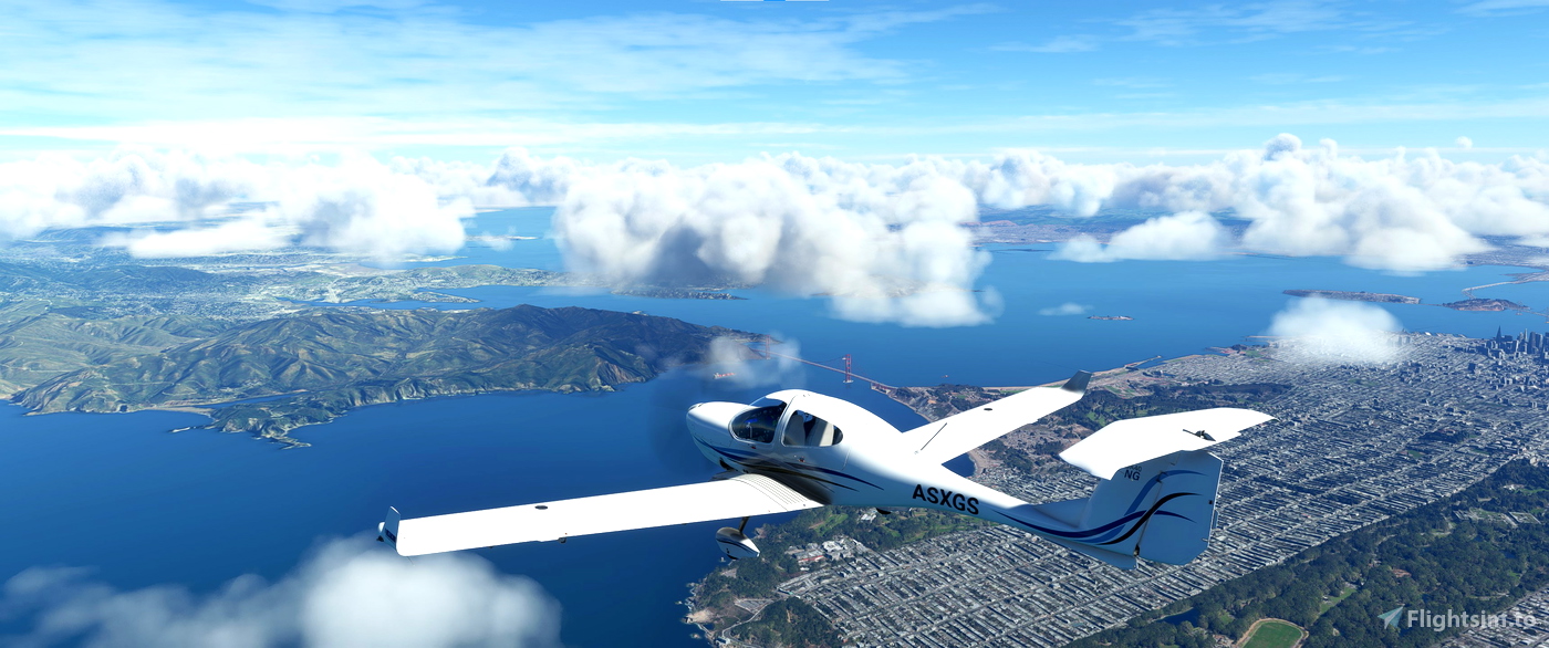 NG Flight Simulator