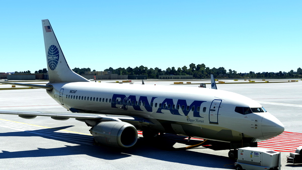 B737-700 PAN AM CLIPPER "HORNET" - for Microsoft Flight Simulator