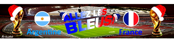 Bagolu-c152-neoflybannertow-Allez France by Newdeclic - for Microsoft Flight Simulator