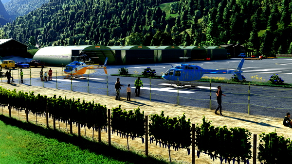 Base Hélicpotere Alpes Aventure Suisse - for Microsoft Flight Simulator