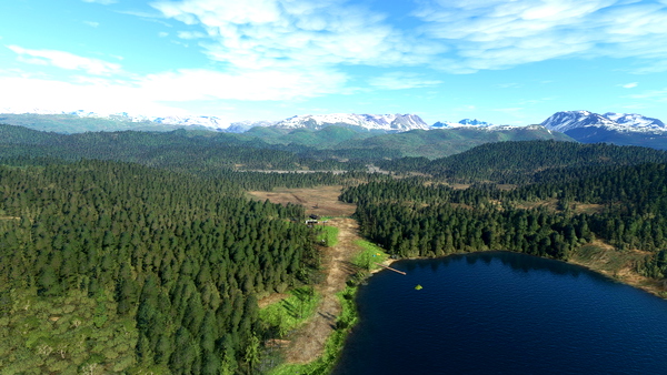 Bear Cove Farm Airfield (46AK) - for Microsoft Flight Simulator