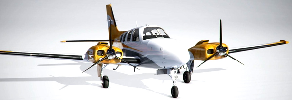 Beechcraft Baron G58 - Gold Virtual Airlines - 10 Years - for Microsoft Flight Simulator
