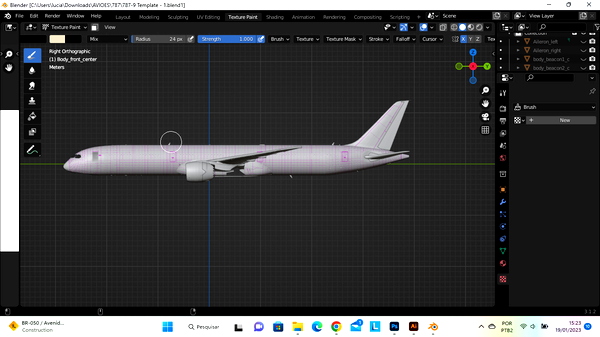 BELNDER PAINTKIT B787-10 - for Microsoft Flight Simulator