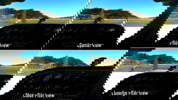 BetterCameras-WBsim-C172SP-Classic - for Microsoft Flight Simulator