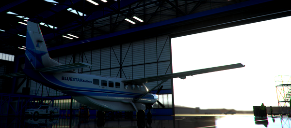 BlueStar Airlines Cessna C208 Livery - for Microsoft Flight Simulator