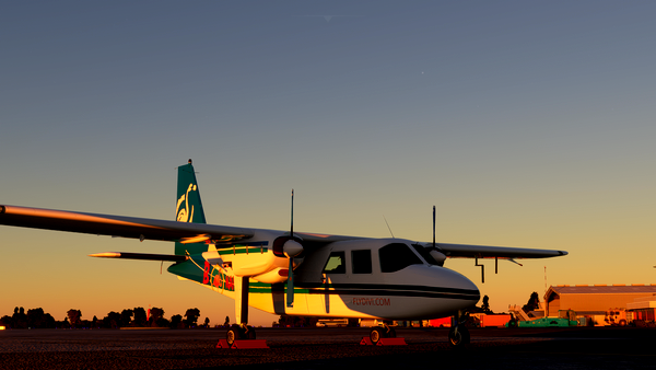 BN2 Divi Divi PJ-SKY Fancy Nancy Livery - for Microsoft Flight Simulator