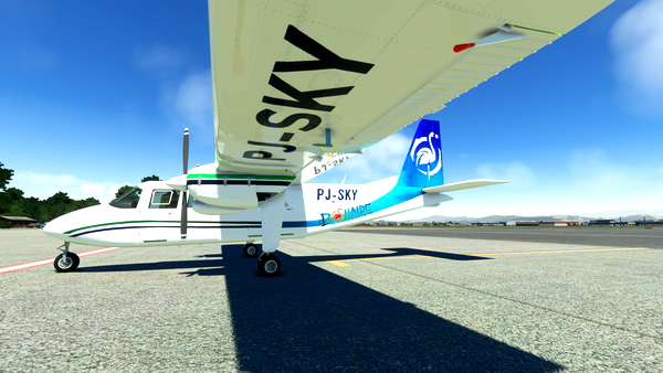 BN2 Islander Divi Divi Air Bonaire livery request - for Microsoft Flight Simulator