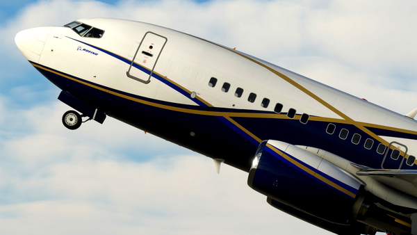 Boeing Executive Jets (N839BA) - PMDG 737-700 BBJ - for Microsoft Flight Simulator