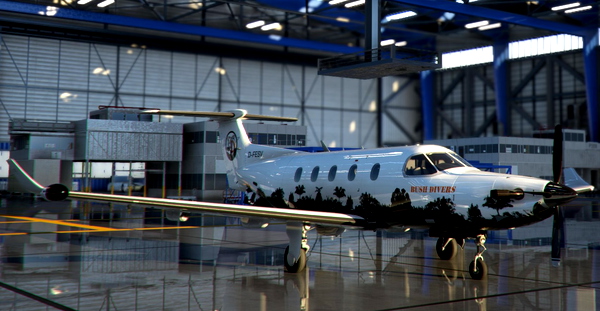 Bush Divers VA - Carenado PC-12 - for Microsoft Flight Simulator