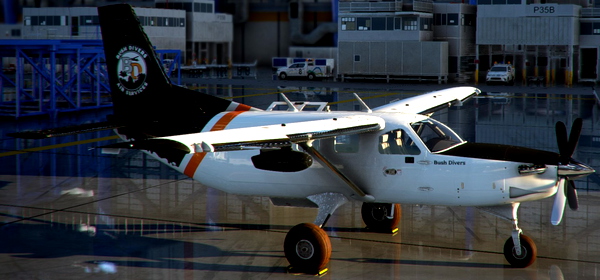 Bush Divers VA - Daher Kodiak - for Microsoft Flight Simulator