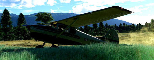 C170B green N-69CO - for Microsoft Flight Simulator
