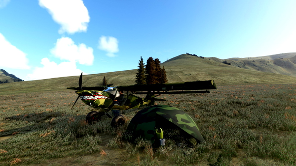 Camo Fox - for Microsoft Flight Simulator