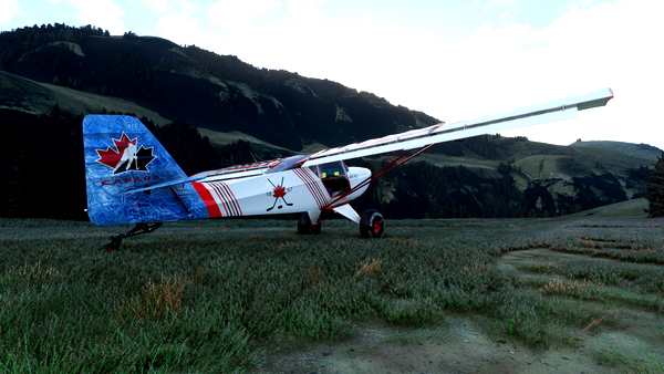 Canadian Ice Fox2 - for Microsoft Flight Simulator