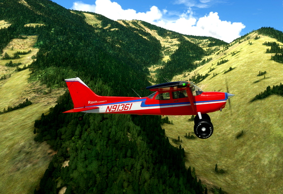 Cessna 172 Tail Dragger N91361 - for Microsoft Flight Simulator