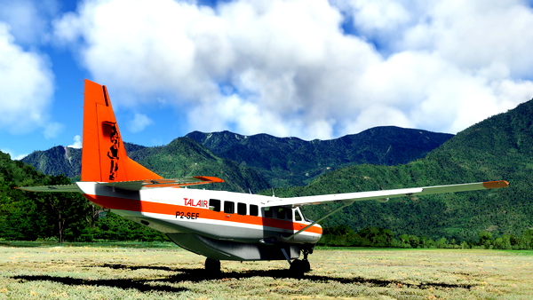 Cessna 208 repaint as Talair SEF - for Microsoft Flight Simulator