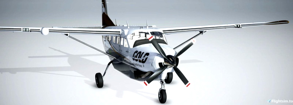 Cessna 208B - Gold Virtual Airlines 10 Years - for Microsoft Flight Simulator