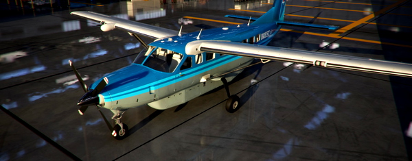 Cessna 208B_BREST air - for Microsoft Flight Simulator