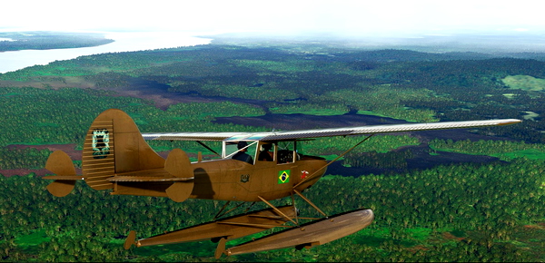 Cessna Bird Dog L-19 bbs Float (Amphibian) PP-BLM Curiapo - for Microsoft Flight Simulator
