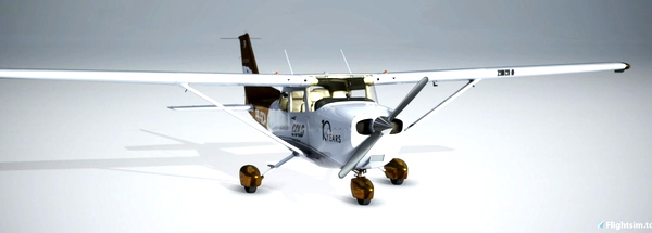 Cessna C172 G1000 - Gold Virtual Airlines 10 Years - for Microsoft Flight Simulator