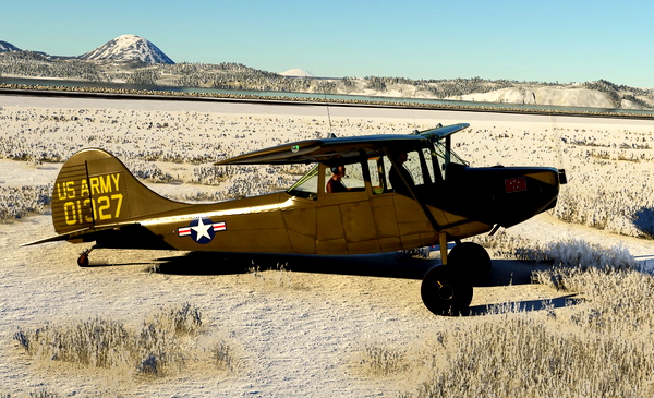 Cessna L19 Bird Dog ARMY Olive with tundra / bush wheels - for Microsoft Flight Simulator