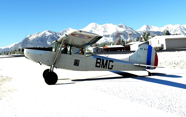 Cessna L19 Bird Dog BMG with tundra / bush wheels - for Microsoft Flight Simulator