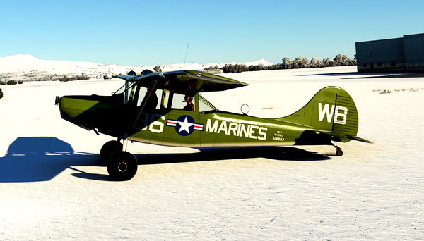 Cessna L19 Bird Dog MARINES with tundra wheels - for Microsoft Flight Simulator