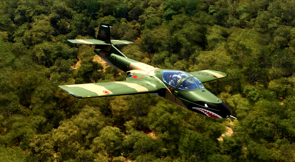 Cessna T-37B Dominican Air Force Green, Brown Sharks mouth. FARD - for Microsoft Flight Simulator