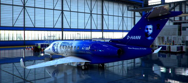 Citation Longitude 1.FC Magdeburg Livery (Fictional) - UPDATED REGISTRATION LOCATION - for Microsoft Flight Simulator