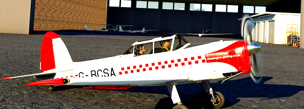 Civilian liveries for the AH DH Chipmunk - for Microsoft Flight Simulator