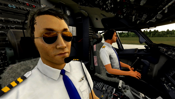Co-Pilot Pmdg 737-600/700/800 - for Microsoft Flight Simulator