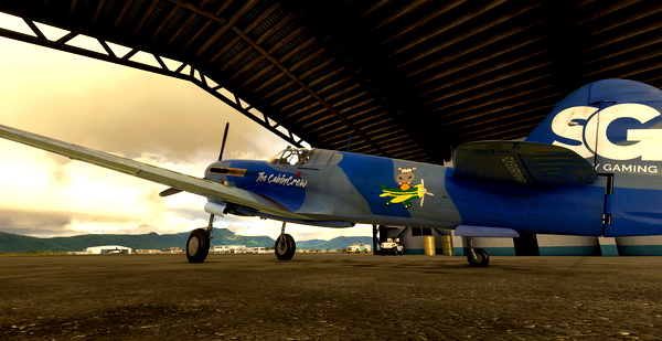 Curtiss P-40F Shoney Gaming - for Microsoft Flight Simulator