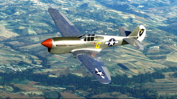 Curtiss P-40F USAAF 461st BG Liberaiders - for Microsoft Flight Simulator