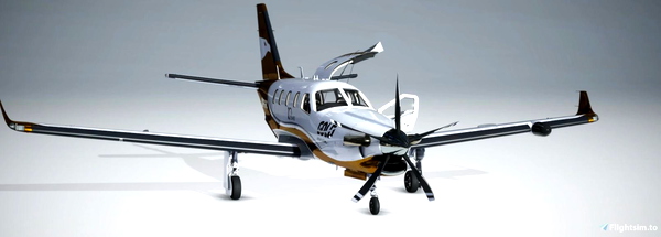 Daher TBM930 - Gold Virtual Airlines 10 Years - for Microsoft Flight Simulator