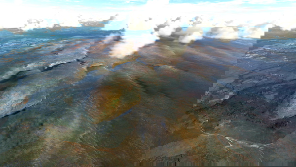 Dartmoor National Park scenery corrections (tree fix & more) - for Microsoft Flight Simulator