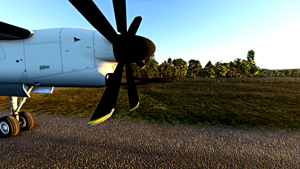 Dash8-Q400 Custom Wing Views - for Microsoft Flight Simulator