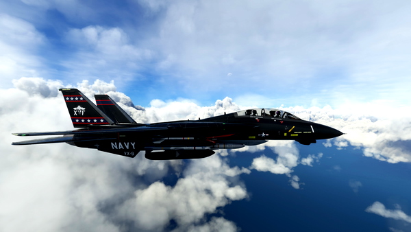 DCDesigns F-14 VX-9 Vampires Pack - for Microsoft Flight Simulator