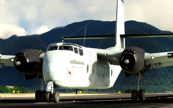 de Havilland Canada DHC-4 Caribou - Greatland Air Cargo - for Microsoft Flight Simulator