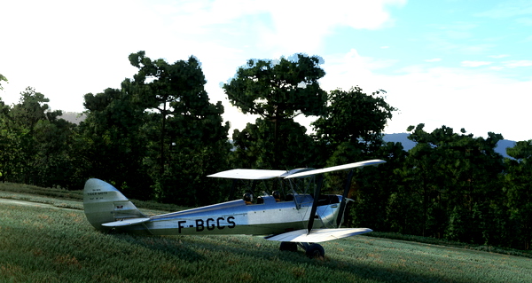 de Havilland DH-82 Tiger Moth F-BGCS - for Microsoft Flight Simulator