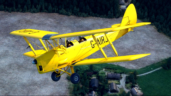 de Havilland DH-82 Tiger Moth G-AIRJ - for Microsoft Flight Simulator
