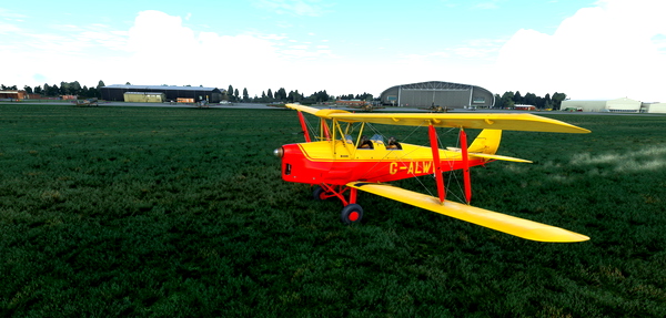 de Havilland DH-82 Tiger Moth G-ALWW - for Microsoft Flight Simulator