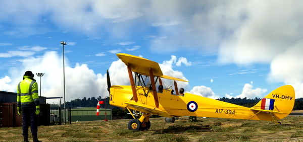de Havilland DH-82 Tiger Moth VH-DHV - for Microsoft Flight Simulator