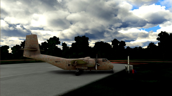 DHC-4 Caribou Barn Find Livery - for Microsoft Flight Simulator