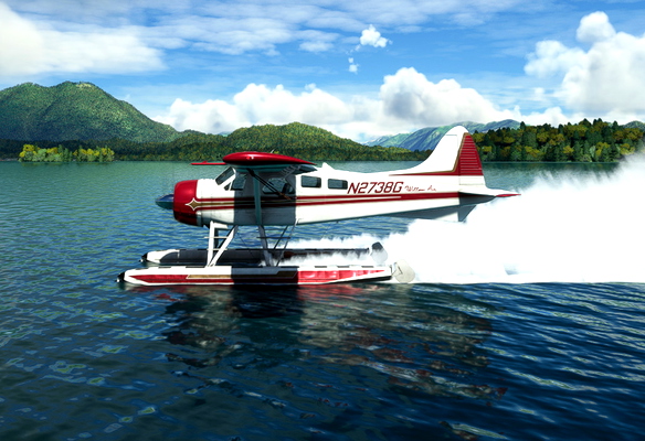 DHC2 Beaver N2738G of Willow Air - for Microsoft Flight Simulator