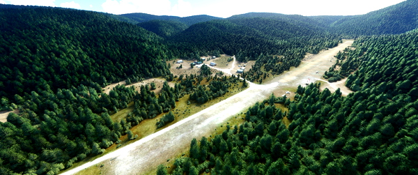 Dixie USFS Airport, Idaho - for Microsoft Flight Simulator