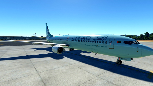 ETIHAD 737-900ER SCIMITAR WINGLETS (FICTIONAL) - for Microsoft Flight Simulator