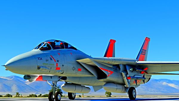 F-14 A/B CHINA LAKE LIVERY NAWC - for Microsoft Flight Simulator